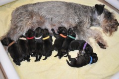 may-2013-pictures-075